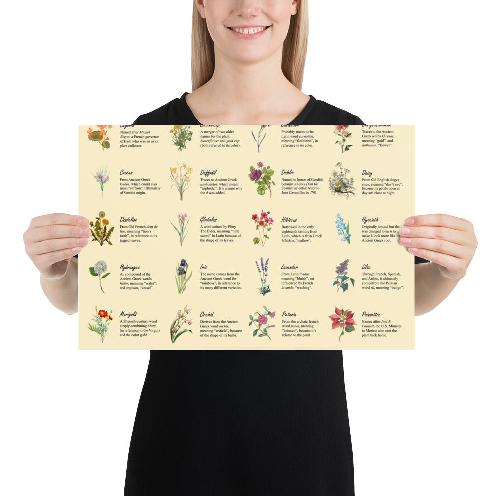 Flower Etymologies Poster