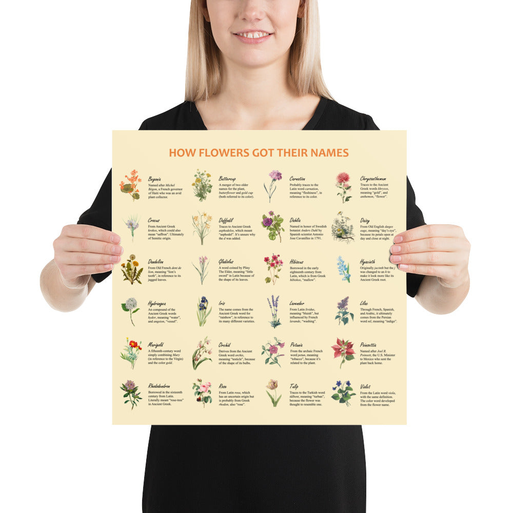 Flower Etymologies Poster