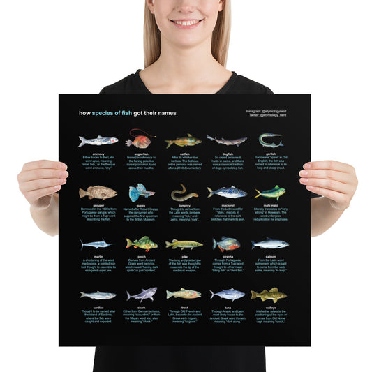 Fish Etymologies Infographic
