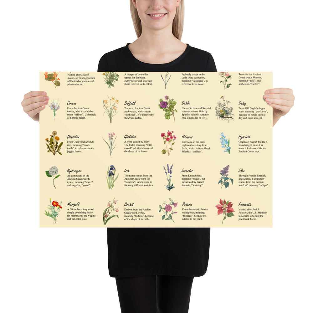 Flower Etymologies Poster