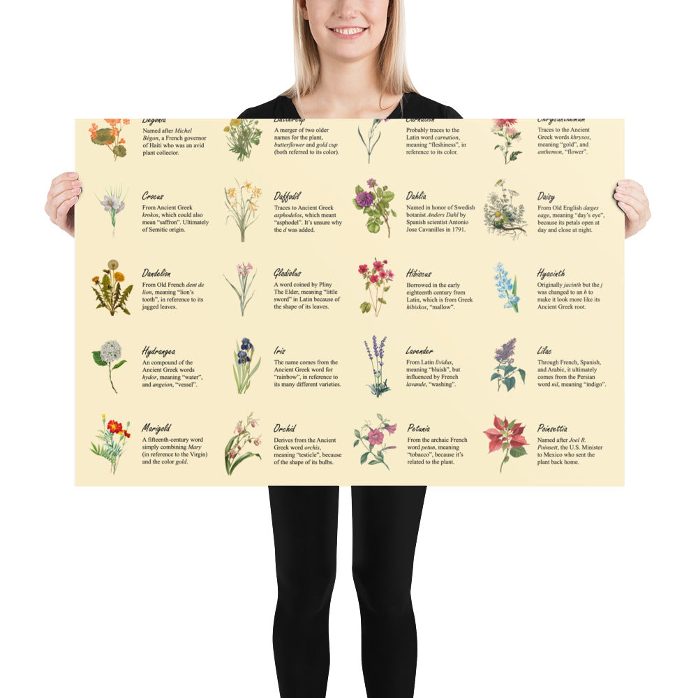 Flower Etymologies Poster